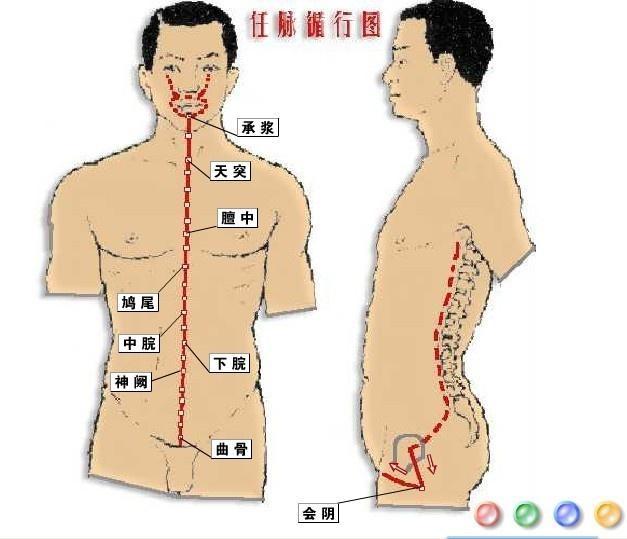 探索人体神秘能量最新奇经八脉研究新篇章